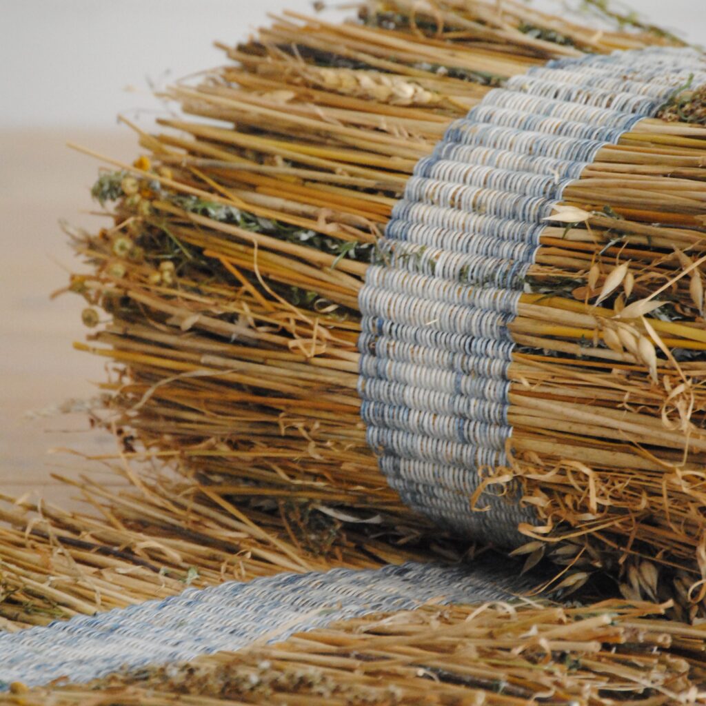 The stems that move the Treadle
